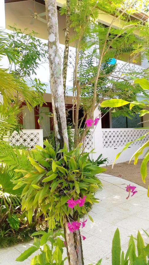 Idle Awhile Beach Hotel Negril Kültér fotó